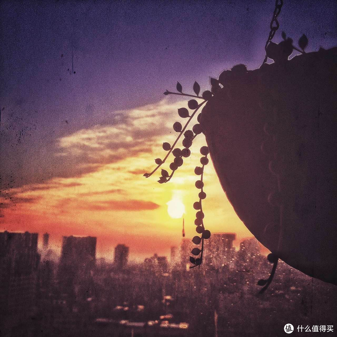 多肉植物养殖窍门