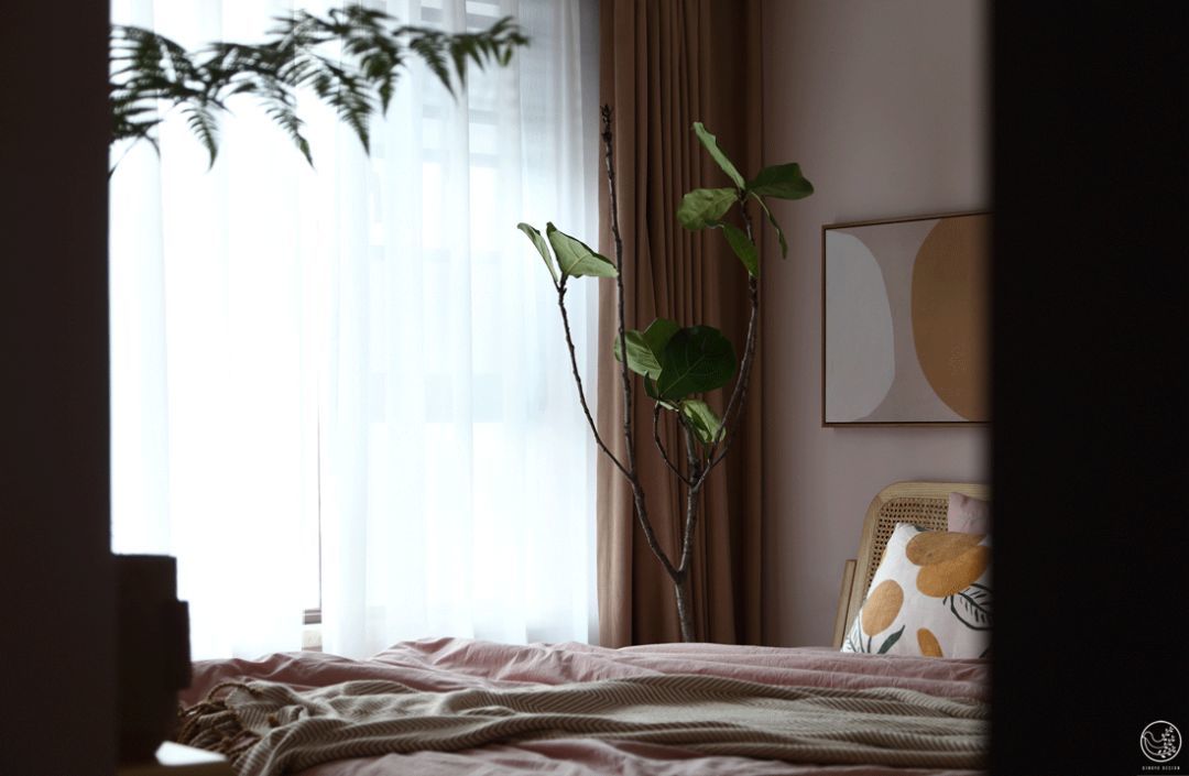 选对卧室植物，营造天然“氧吧”，附省心养护指南～