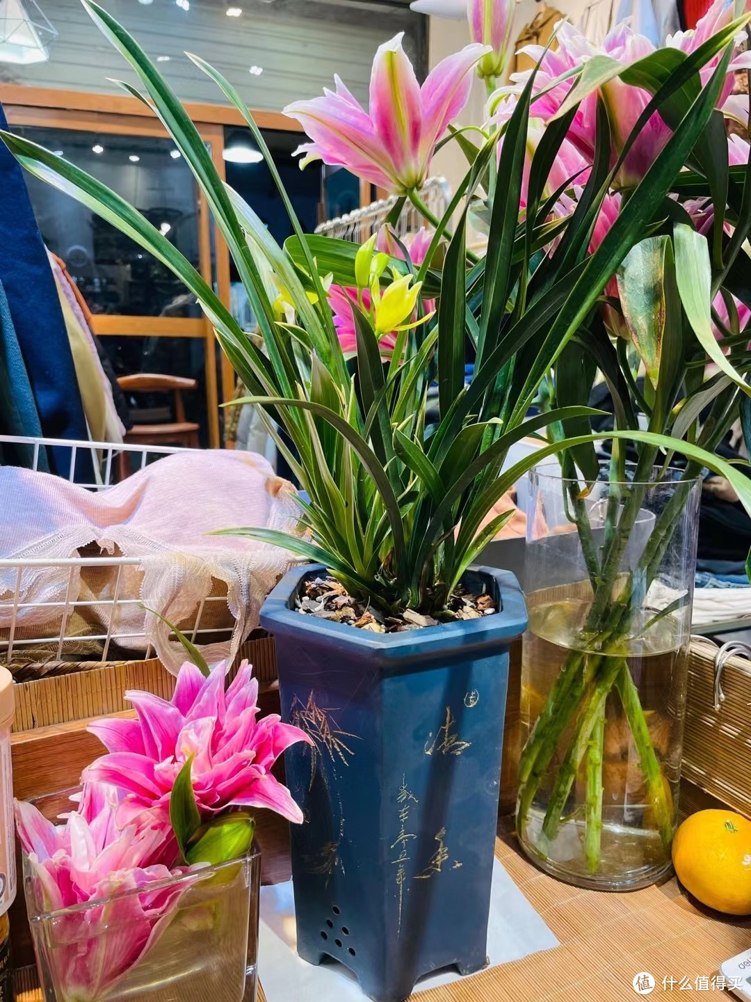 给兰花新手养护的一点心得